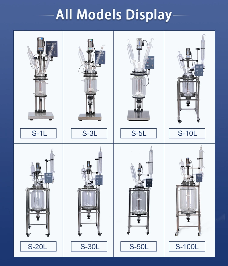 Lab Pyrolysis Chemical Glass Lined Reactor Vessel Price Pilot Plant Jacketed Glass Reactor 20L 50L with Vacuum Filtration Apparatus